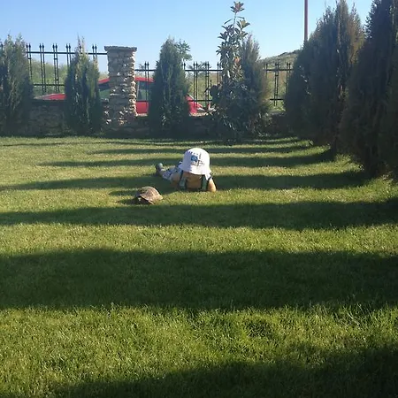 Affittacamere Hills *