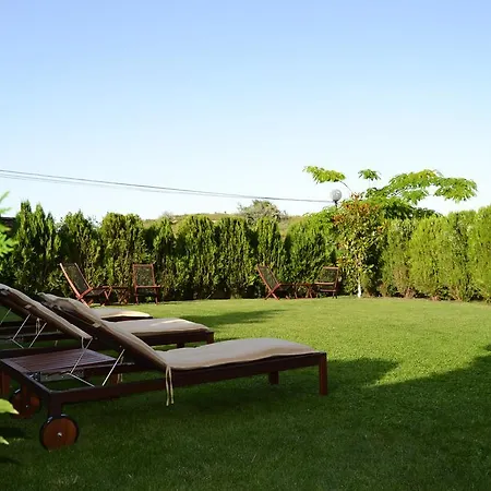 Hills Μπαλτσίκ