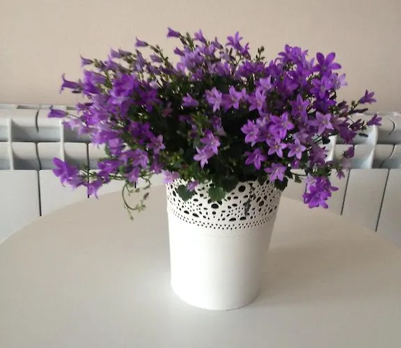 Maison d'hôtes Hills *