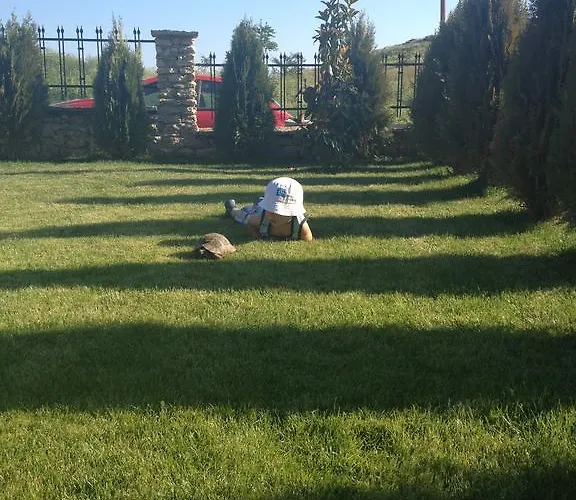 Maison d'hôtes Hills *